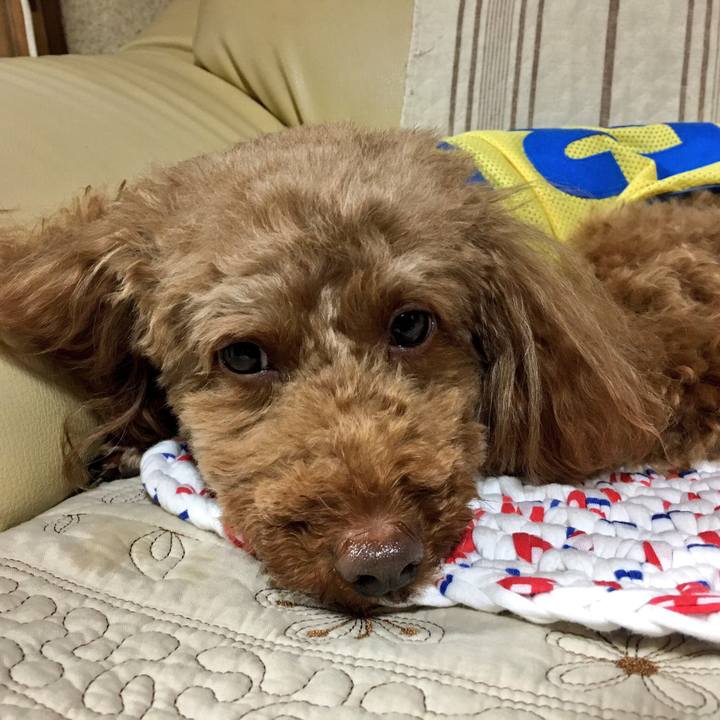 Ec43f959 5b81 426b a979 97dc6d68b65e