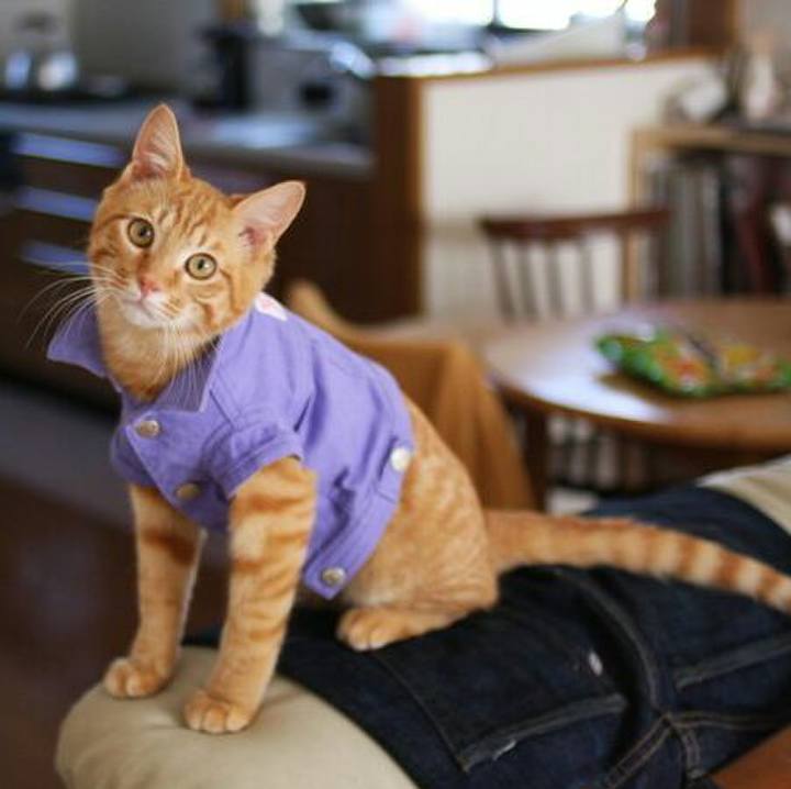 Ec4413dc 61a9 40cd 8d27 8a176188ca94