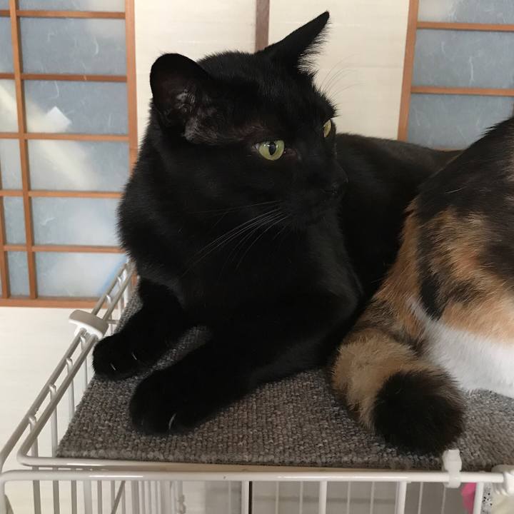 Ec44dc2a a7f0 4aba 8fb1 ae68afc144e9