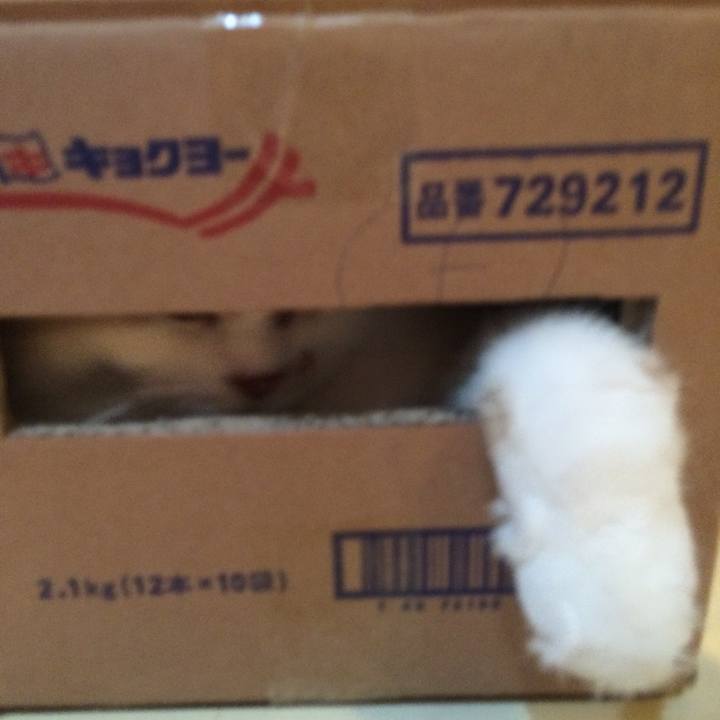 Ec45a9c8 2740 4a6c b234 6fe31d03a226