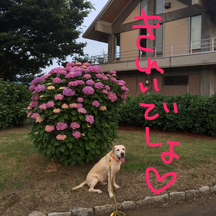 Ec460dc2 6986 4d3a adec 50a053cea7d9