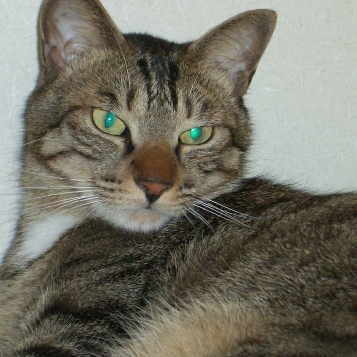 Ec469a08 0895 458c b0cb be7c813feaba