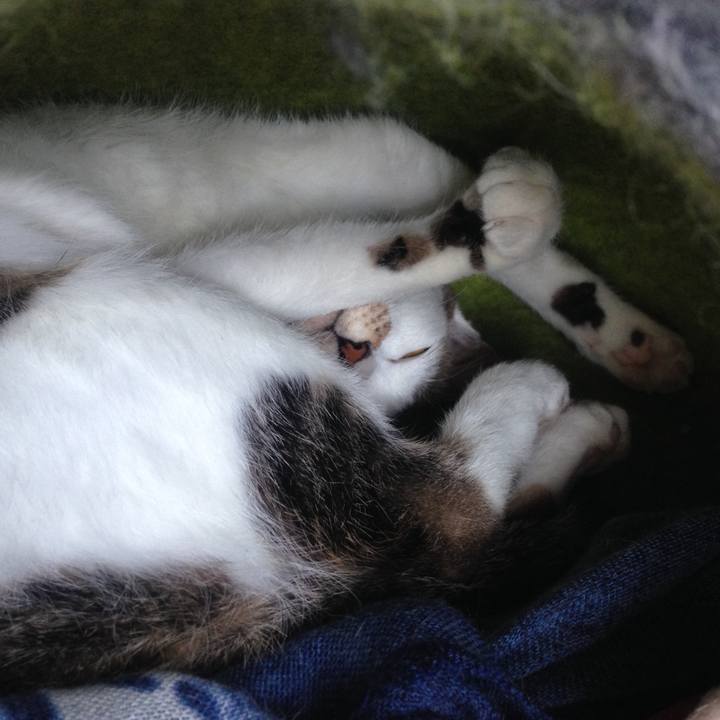 Ec46a10c 6005 4dc3 8642 bde813ca57d6