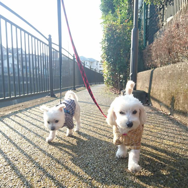 Ec477382 0e38 44fe ac75 cb21e24756a4