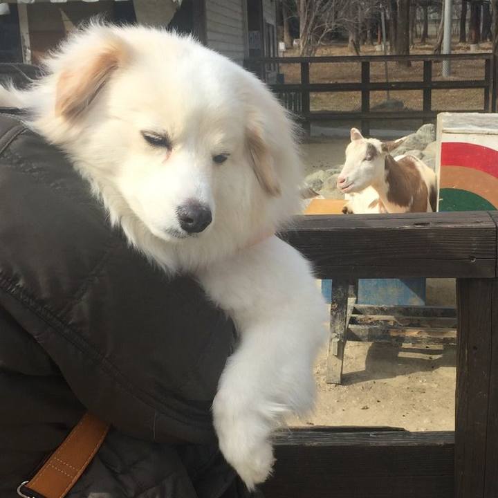 Ec47b9a9 f583 4189 9fc5 4125ab9f504b