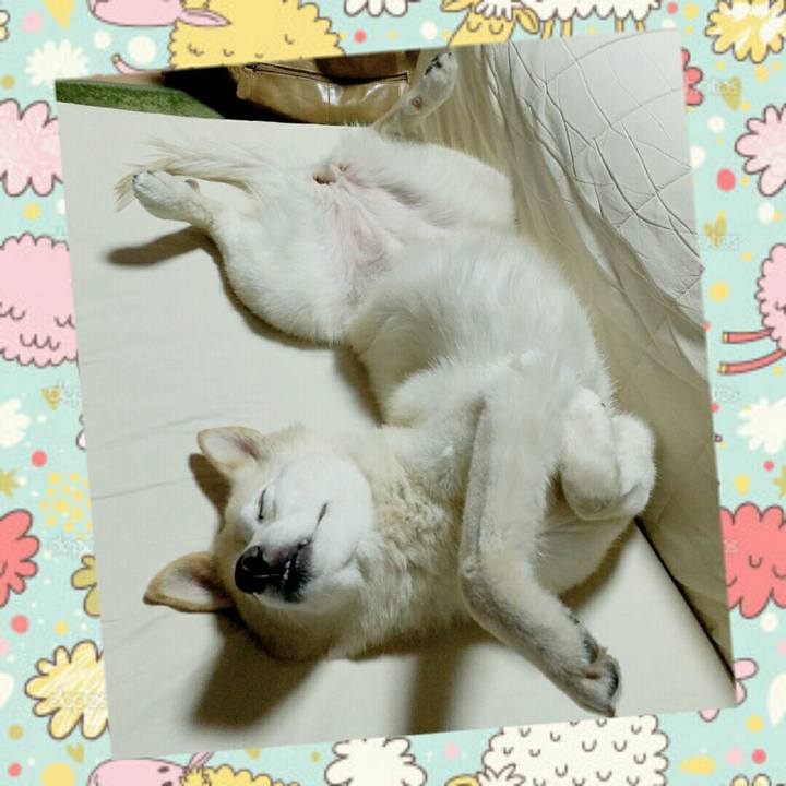 Ec498e0c 8642 4abe b7ce d08b503c3617