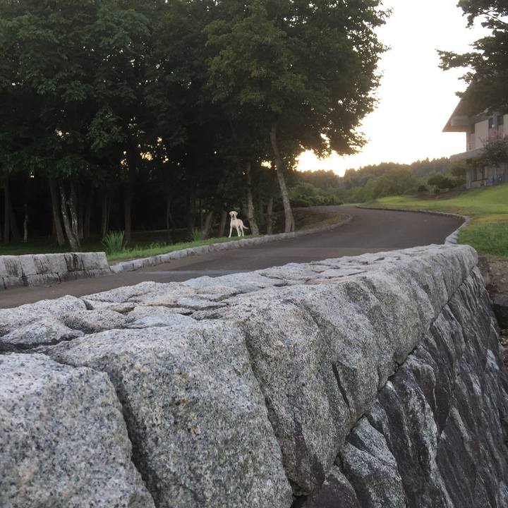 Ec499c1a 8cbb 4c0a a6ef dbdd19f626b0