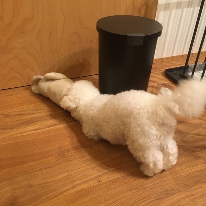 Ec49dc54 8405 44df 88c9 5652ab95c114