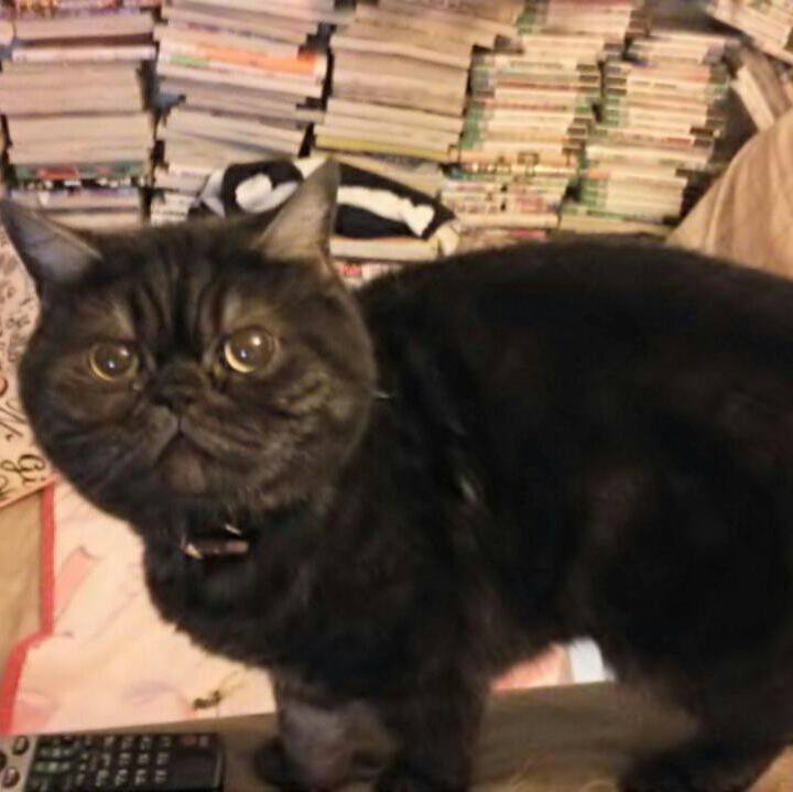 Ec49e735 6e86 44ff 83ce b2e984b00de3