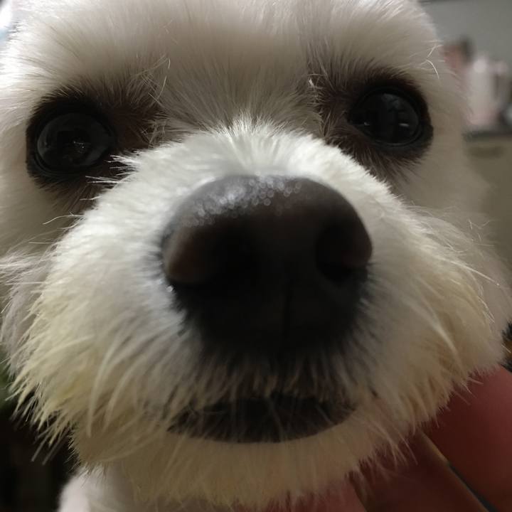 Ec4a2a79 80fc 4216 bb1a 7ccc2987f06b