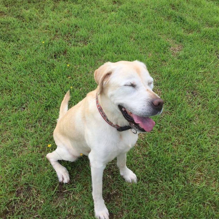 Ec4a57a2 dcad 4150 b01c 7613c1675ebe