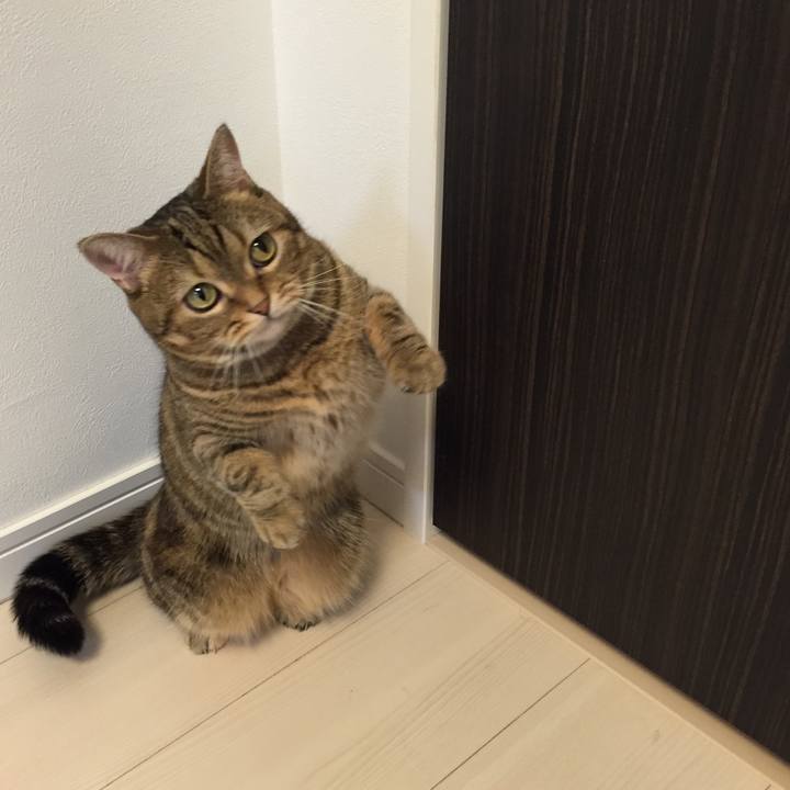 Ec4ad235 a78a 4233 bc4f be1556d9dcf5