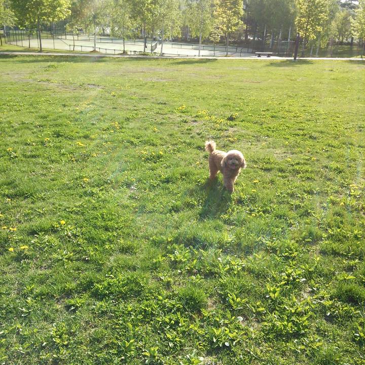 Ec4adb7a a3ae 47e6 8241 af6955b6f4be