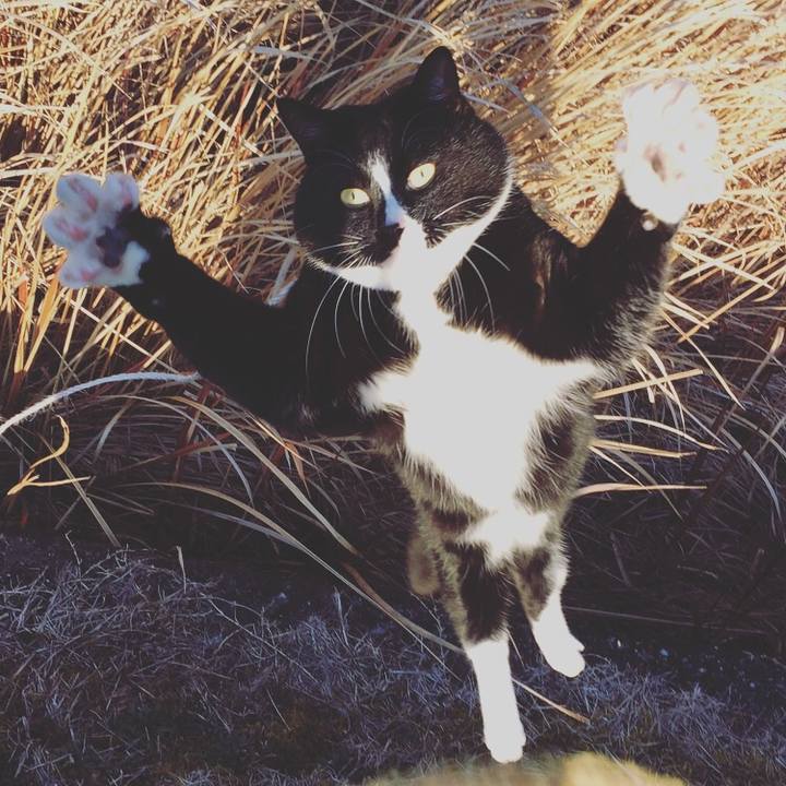 Ec4b2710 7c8f 4aa4 9378 06a4c6cc2457