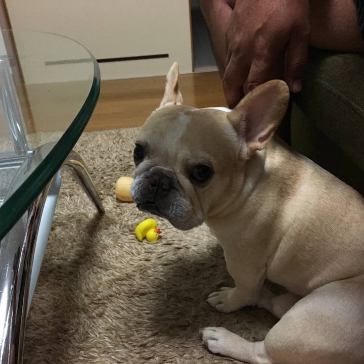 Ec4b59e4 39b3 48b9 a611 76e41eae9bf9