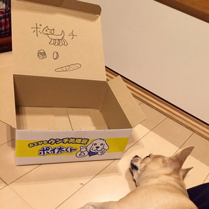 Ec4bbf7f 7dc9 480c a469 c01f4e97b97c