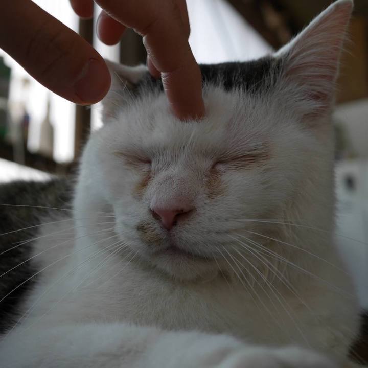 Ec4c1f77 501a 443d 8d0f 4f000f0103ed