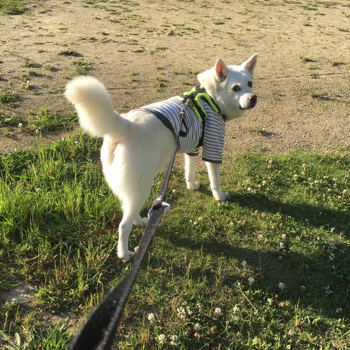 Ec4c3b3a 5555 4be8 90f5 3e3760de7447