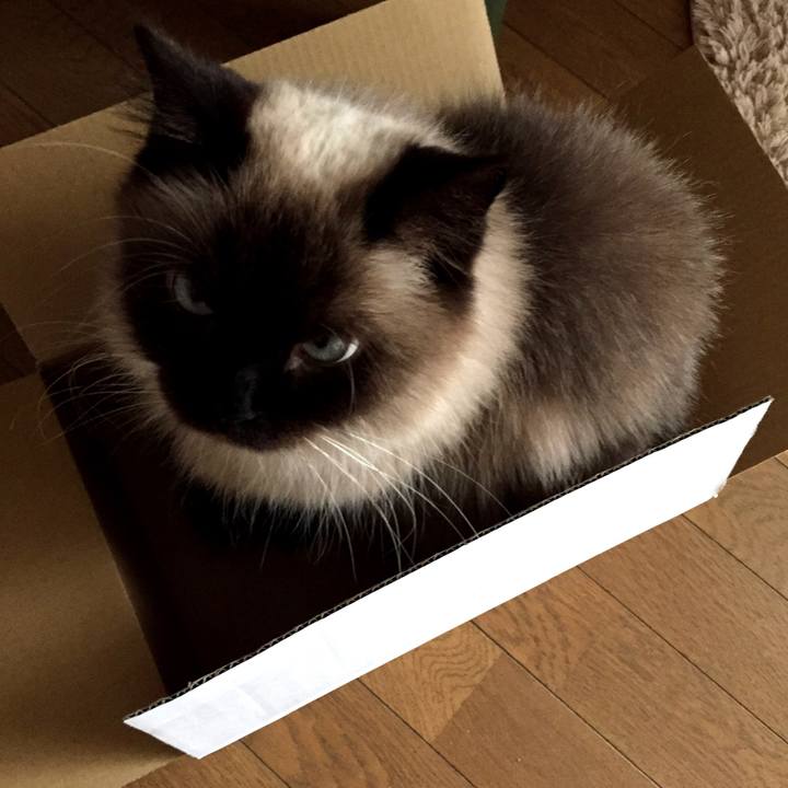 Ec4c65cf cebf 4f88 8ac5 444bb30e3db7