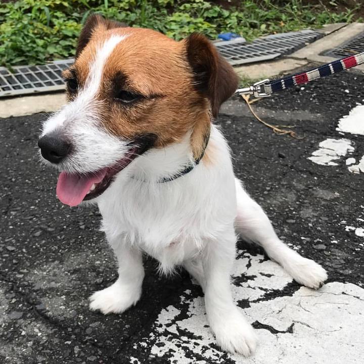 Ec4d4ced c5f4 4921 be62 9aba1583f085