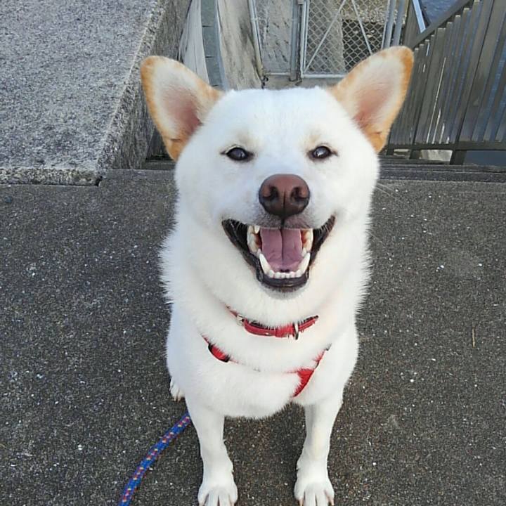 Ec4d6f32 4283 4dbd b413 78b82004588f