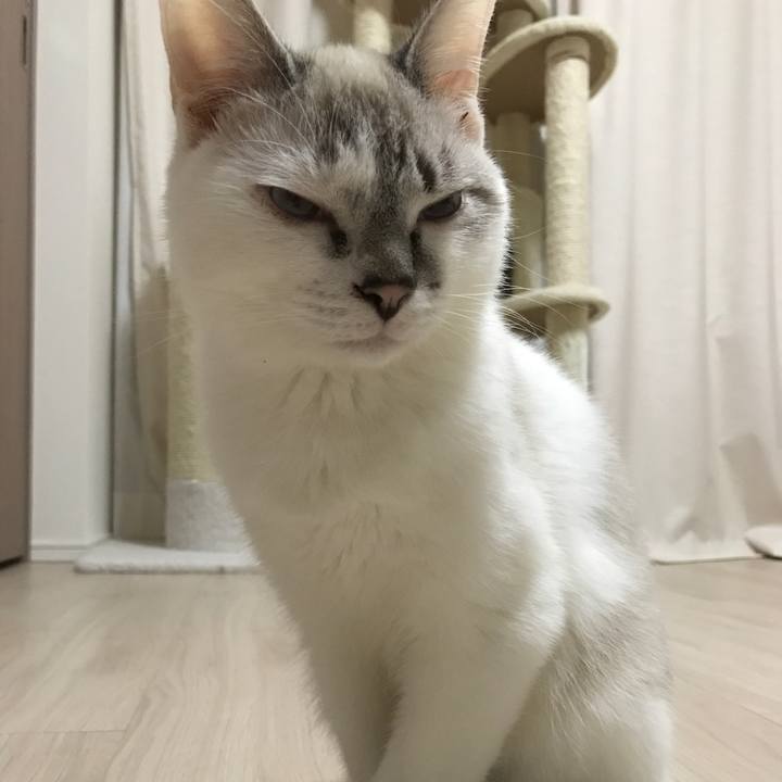 Ec4e0f65 3b6b 4351 b7c8 43f838b01645