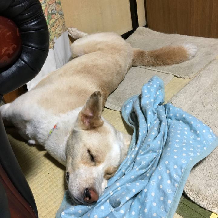 Ec4e25fe cf7d 4eba 8a48 db549319d9ee