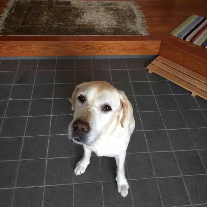 Ec4e98f2 4296 4b39 b77d 1a4122f71559