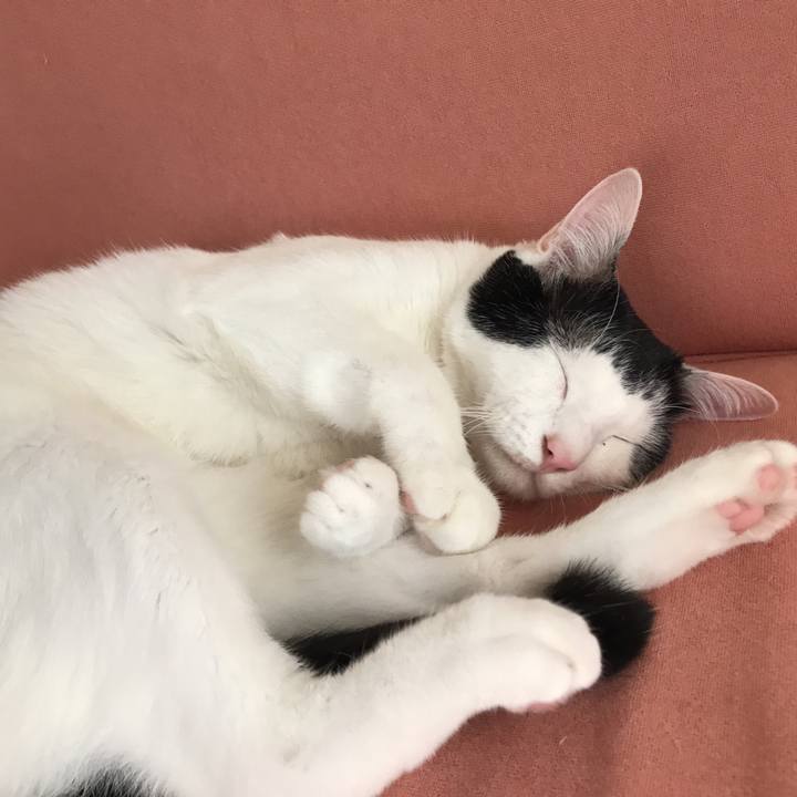 Ec4ebcee 36ab 4355 ab96 e4fb5d71b029