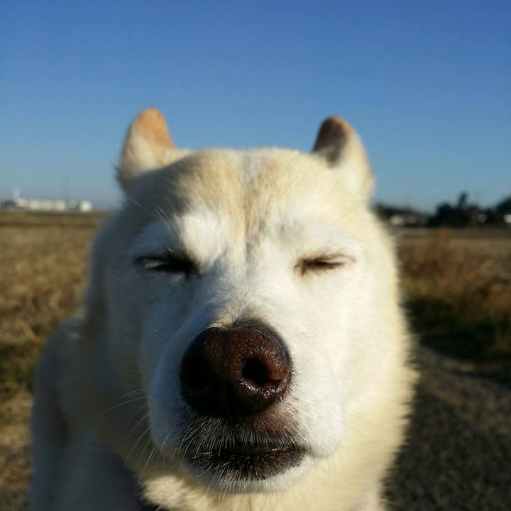 Ec4eeb2b 0d73 47ca b806 73755eafed6f