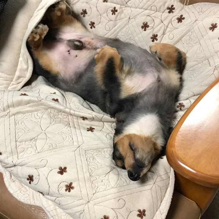 Ec4f3880 4999 4477 b89b c1e7eb3ecd32