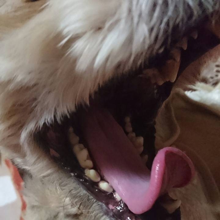 Ec4f8bcf 7d47 482e 9534 a4301d7e4a44