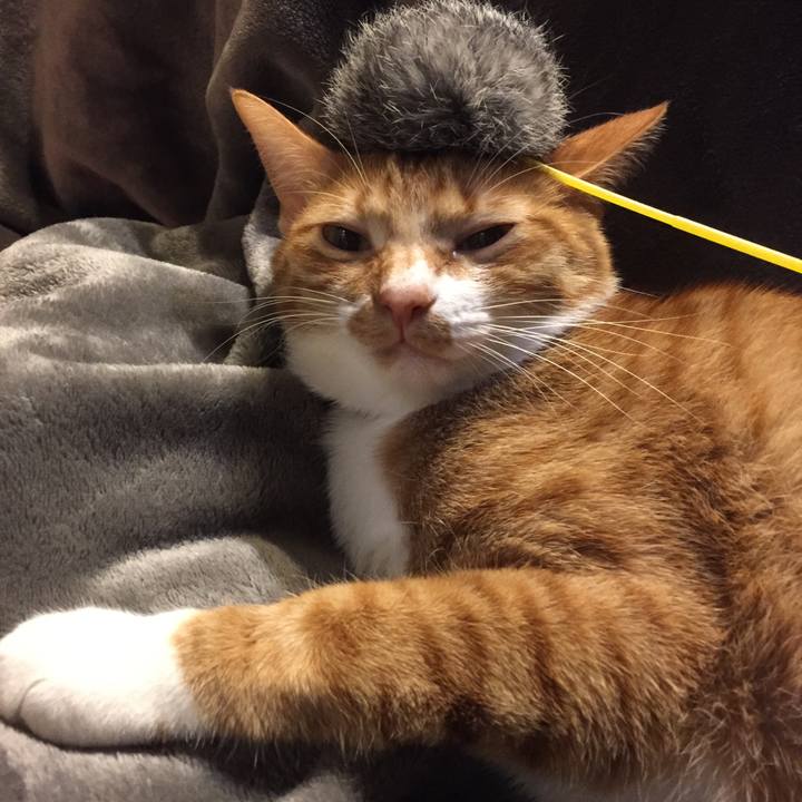 Ec4fc8dd 4aea 45de 9862 f435463f3726