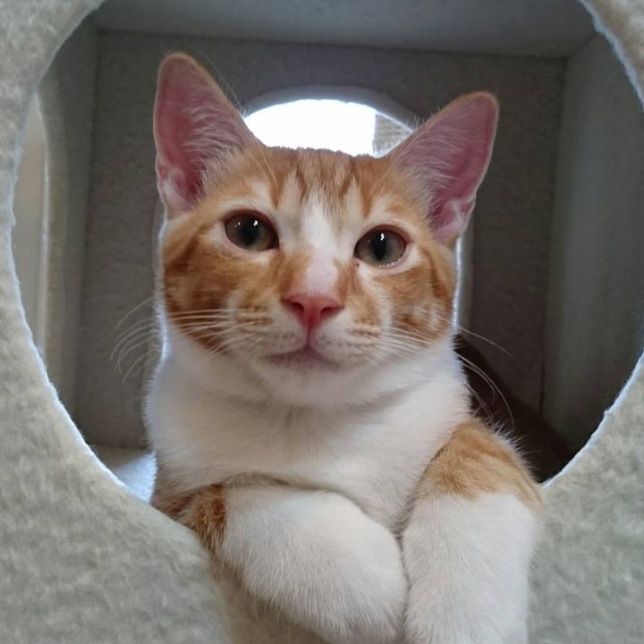 Ec5042fd 5eb0 4ddd b354 167f28a20651