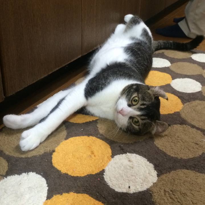 Ec504c2d 9e0b 44ea 8b66 7b0236d3b9d1