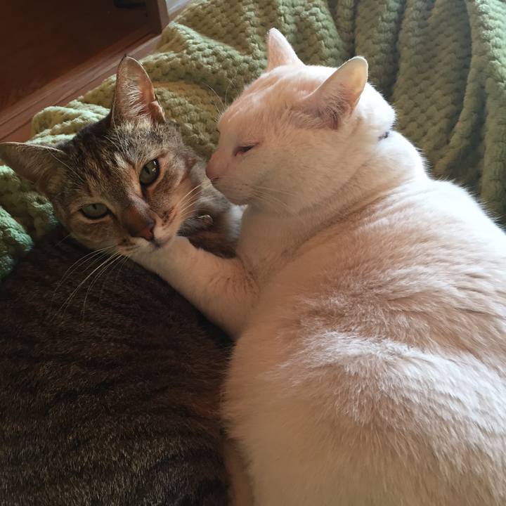 Ec505ffb 57f0 4143 8de1 470974d887a2