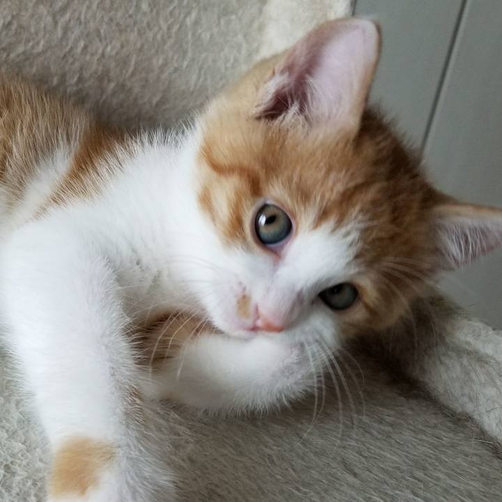 Ec50797e 6dc3 4484 be7a 2c16c22e6325