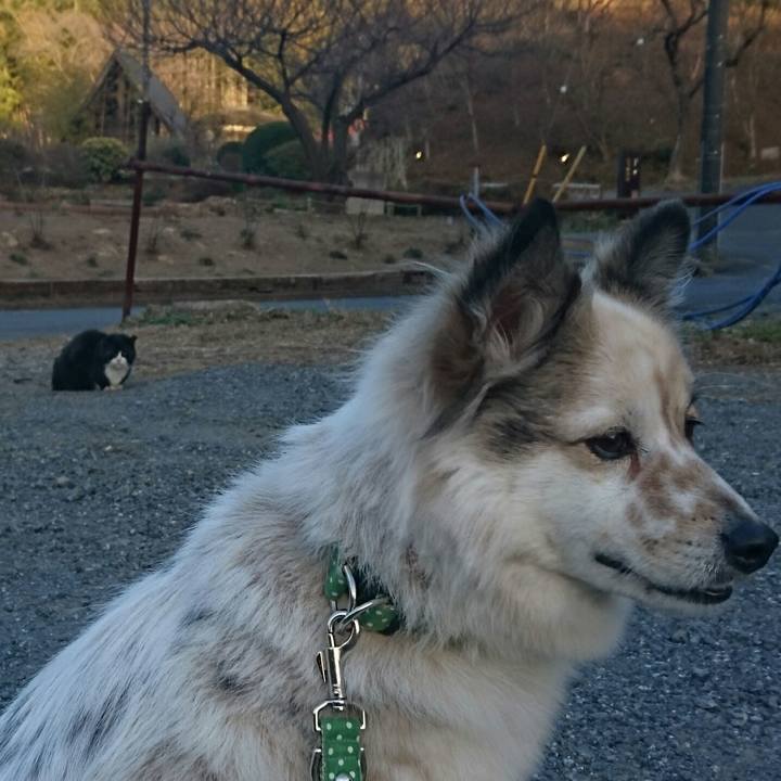 Ec5079da 4b3c 4120 8513 3701166f7593