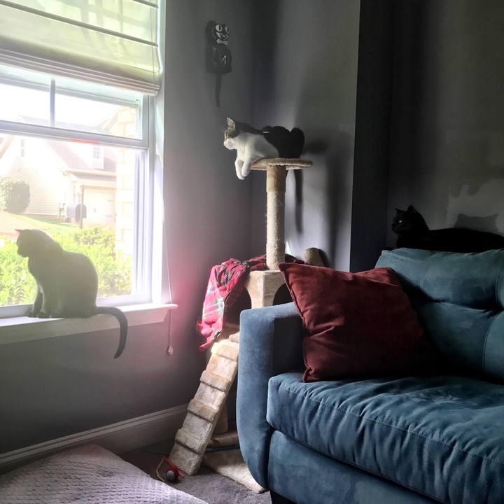 Ec50fcbc 167a 493f a5d2 39fc3aa6517c