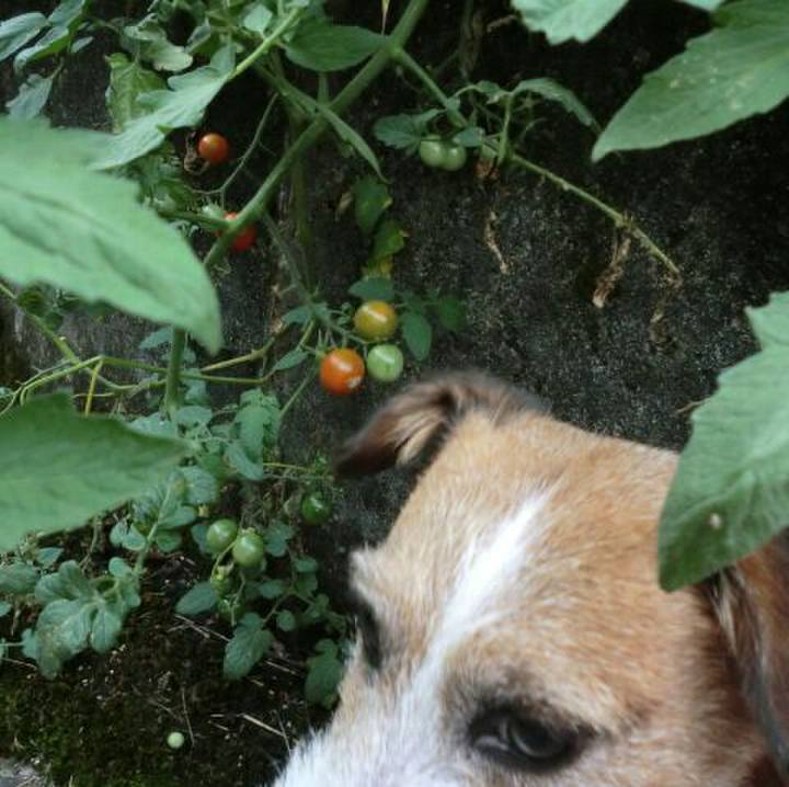 Ec50ff62 e0b8 4175 93f1 732d1382ef5b