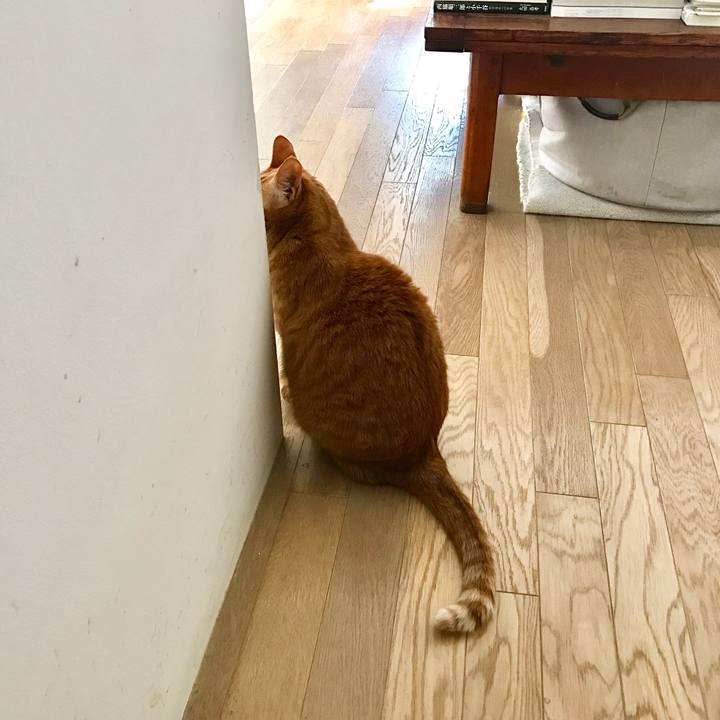 Ec51487a 2cc8 4f4d 9a63 c84cb91ba0a5