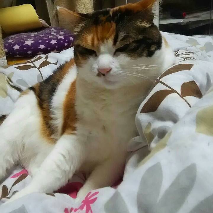 Ec51a9bb 1704 4a24 a85d f4d01c195acf