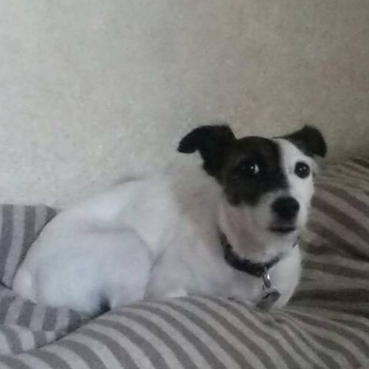 Ec51e6a0 c66c 4b24 b28b 8b2ccbe5039e