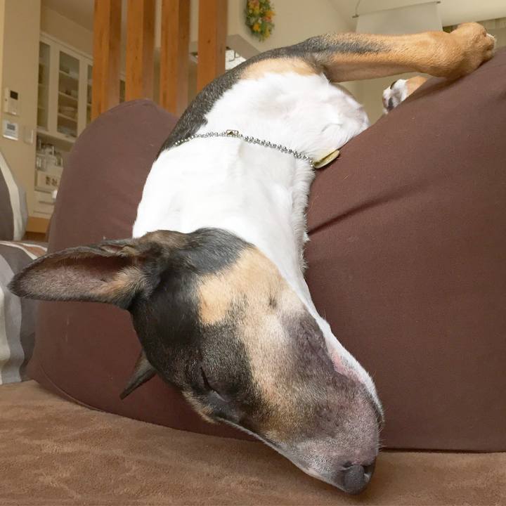 Ec5202a7 a94c 4e6c bfaa 15441b8aac7f