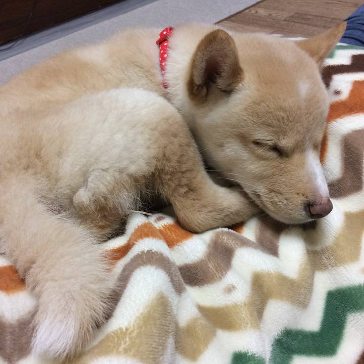 Ec53a3ac 740e 45de a64d 116d5f0eb44c