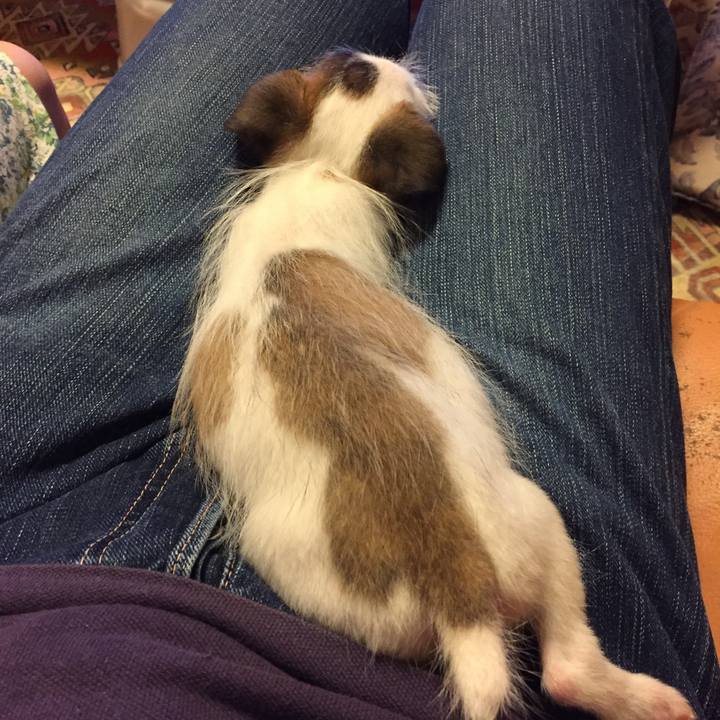 Ec53ecaf a1a3 4355 9580 b2f2b049352e