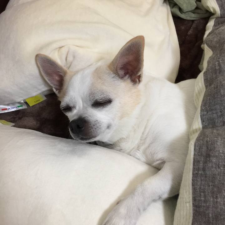 Ec545c70 24f5 4289 8a1a 3bbb09160016