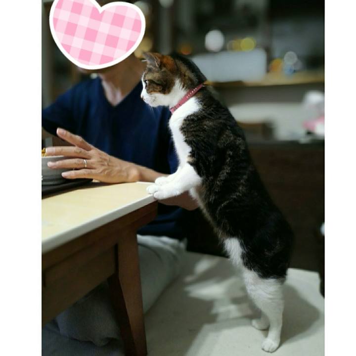 Ec548d54 7a64 4411 aa31 e32c74c6b67e