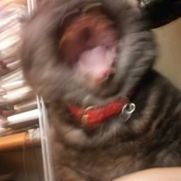 Ec549a8e c549 4ff7 82fb 3a3ca27a7092