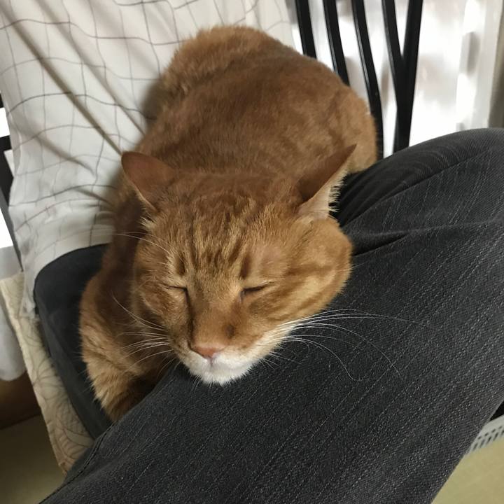 Ec54f009 2059 4c37 a73f ffcdf61c5882